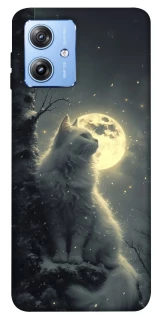 Чехол на Motorola Moto G84 Кот под луной фото 1 из 1