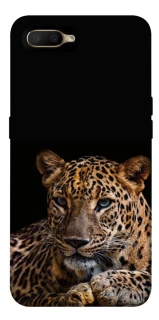Чохол на OPPO A5 / A3S / AX5 / R15-NEO Leopard v4 фото 1 з 1
