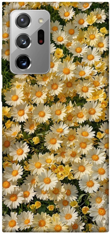 Чохол на Samsung Galaxy Note 20 Ultra Camomile фото 1 з 1
