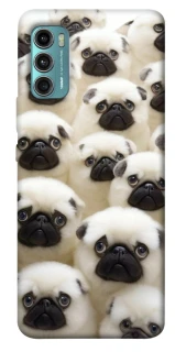 Чохол на Motorola Moto G60 Doggy Pug Love фото 1 з 1