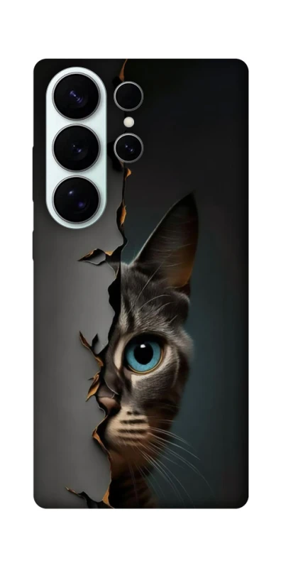 Чехол на Samsung Galaxy S26 Pro Кот-подглядыватель v2 фото 1 из 1