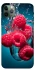 Чохол на Apple iPhone 11 Pro Max (6.5") Малинка у воді фото 1 з 1