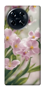 Чохол на TECNO Spark 20 Pro+ Spring фото 1 з 1