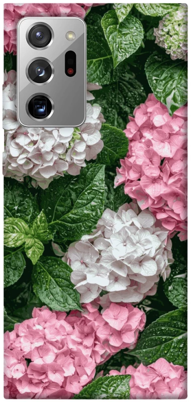 Чохол на Samsung Galaxy Note 20 Ultra Secret Garden фото 1 з 1