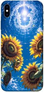 Чохол на Apple iPhone XS Max (6.5") Sunflowers фото 1 з 1