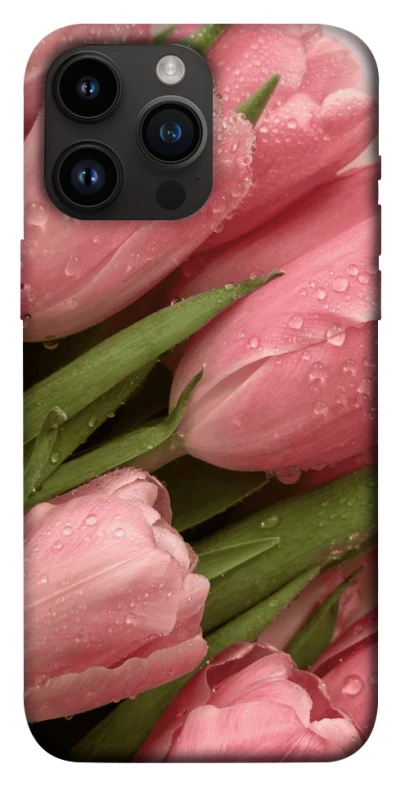 Чехол на Apple iPhone 14 Pro Max (6.7") Beauty фото 1 из 1