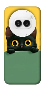 Чохол на Nothing Phone (2a) Black cat v2 фото 1 з 1
