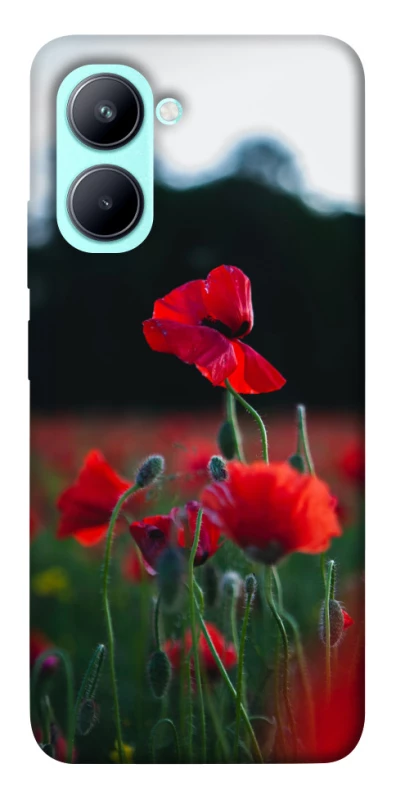 Чехол на Realme C33 Мак фото 1 из 1