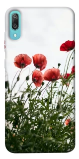 Чехол на Huawei Y6 Pro (2019) Поле маков фото 1 из 1