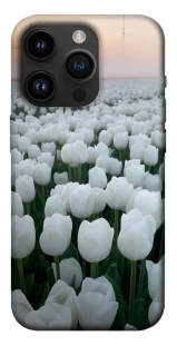 Чохол на Apple iPhone 14 Pro (6.1") Flowers v1 фото 1 з 1