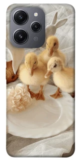 Чехол на Xiaomi Redmi 12 Easter Vibes фото 1 из 1