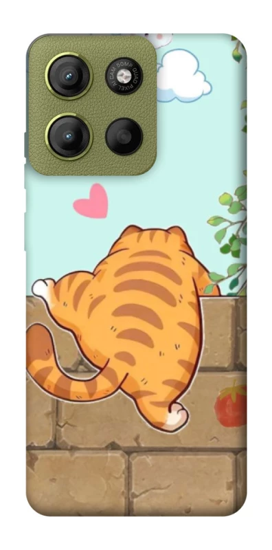 Чехол на Motorola Moto G15 4G Cat the meow фото 1 Чехол на Motorola Moto G15 4G Cat the meow фото 1 из 1