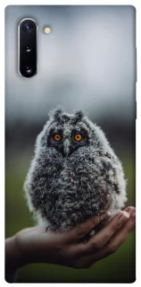 Чехол на Samsung Galaxy Note 10 Совёнок фото 1 из 1