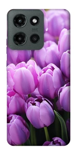 Чехол на Motorola Moto G Power (2025) Фиолетовые тюльпаны фото 1 из 1