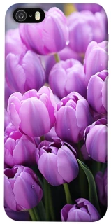 Чехол на Apple iPhone 5/5S/SE Фиолетовые тюльпаны фото 1 из 1