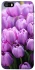Чохол на Apple iPhone 5/5S/SE Фіолетові тюльпани фото 1 з 1