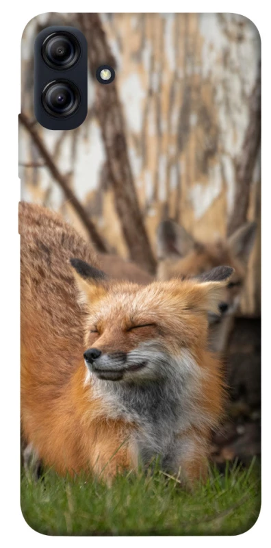 Чохол на Samsung Galaxy A04e Лисиця фото 1 з 1