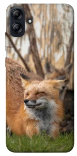 Чохол на Samsung Galaxy A04e Лисиця фото 1 з 1