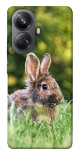 Чехол на Realme 10 Pro+ Кролики фото 1 из 1