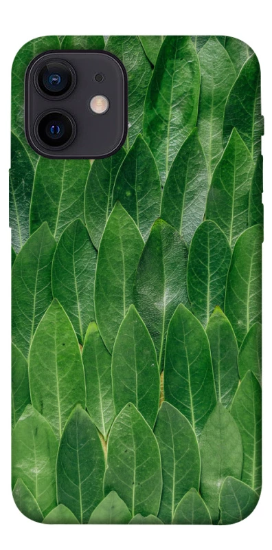 Чехол на Apple iPhone 12 mini (5.4") Листья фото 1 из 1