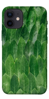 Чохол на Apple iPhone 12 mini (5.4") Листя фото 1 з 1
