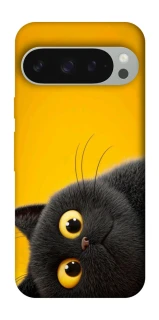 Чохол на Google Pixel 10 Pro XL This is Cat фото 1 з 1