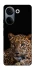 Чохол на TECNO Camon 20 Pro (CK7n) Leopard v4 фото 1 з 1