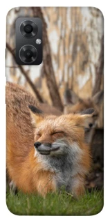 Чохол на Xiaomi Redmi Note 11R Лисиця фото 1 з 1