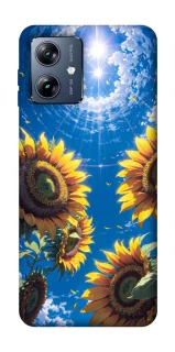 Чохол на Motorola Moto G54 Power Sunflowers фото 1 з 1