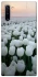 Чехол на Samsung Galaxy Note 10 Flowers v1 фото 1 Чехол на Samsung Galaxy Note 10 Flowers v1 фото 1 из 1