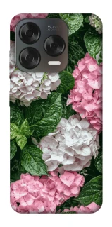 Чохол на ZTE Blade V70 Design Secret Garden фото 1 з 2
