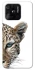 Чохол на Xiaomi Redmi 10C Leopard Art v2 фото 1 з 1