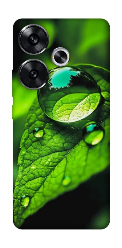 Чохол на Xiaomi Poco F6 Flowers v16 фото 1 з 1