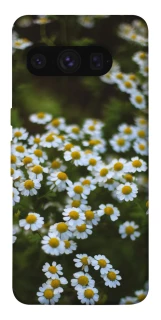 Чехол на Google Pixel 8 Pro Ромашки v13 фото 1 из 1