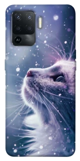 Чехол на Oppo Reno 5 Lite Snow cat фото 1 из 1