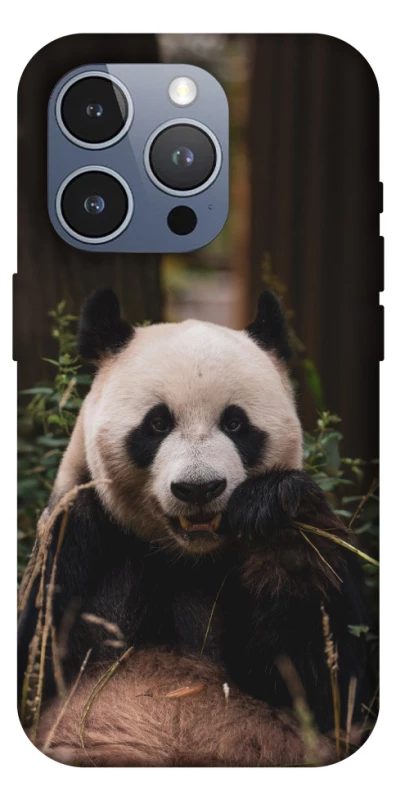 Чехол на Apple iPhone 16 Pro Max Панда фото 1 из 1