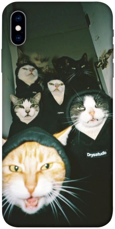 Чехол на Apple iPhone X (5.8") Сatsss фото 1 из 1