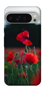 Чохол на Google Pixel 9 Pro XL Мак фото 1 з 1