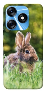 Чехол на TECNO Spark 10 Кролики фото 1 из 1