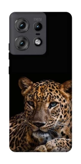 Чехол на Motorola Edge 50 Pro Leopard v4 фото 1 из 1