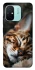 Чехол на Xiaomi Redmi 12C / Poco C55 Cat paws фото 1 из 1