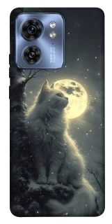 Чехол на Motorola Edge 40 Кот под луной фото 1 из 1
