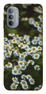 Чехол на Motorola Moto G31 Ромашки v13 фото 1 из 1