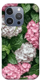 Чехол на Apple iPhone 16 Pro Max Secret Garden фото 1 из 1