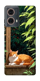 Чохол на Motorola Moto G85 red cat фото 1 з 1