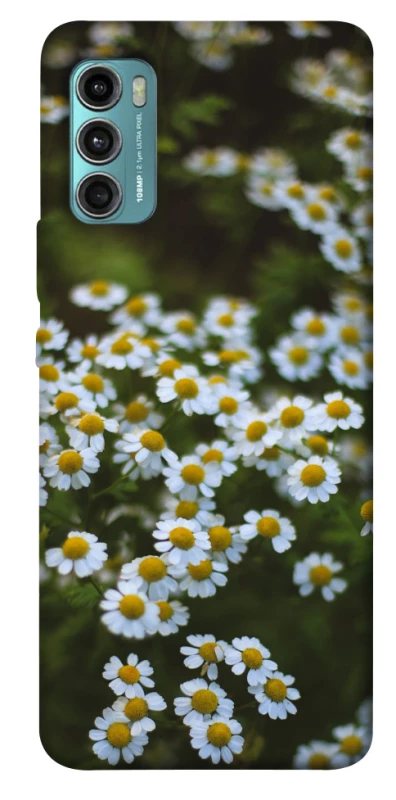 Чохол на Motorola Moto G60 Ромашки v13 фото 1 з 1