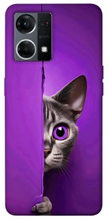 Чохол на Oppo Reno 7 4G Кіт-підглядач фото 1 з 1