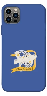 Чохол на Apple iPhone 12 Pro (6.1") Ластівка фото 1 з 1