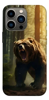 Чехол на Apple iPhone 13 Pro (6.1") Bear V3 фото 1 из 1