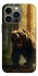 Чехол на Apple iPhone 13 Pro (6.1") Bear V3 фото 1 из 1
